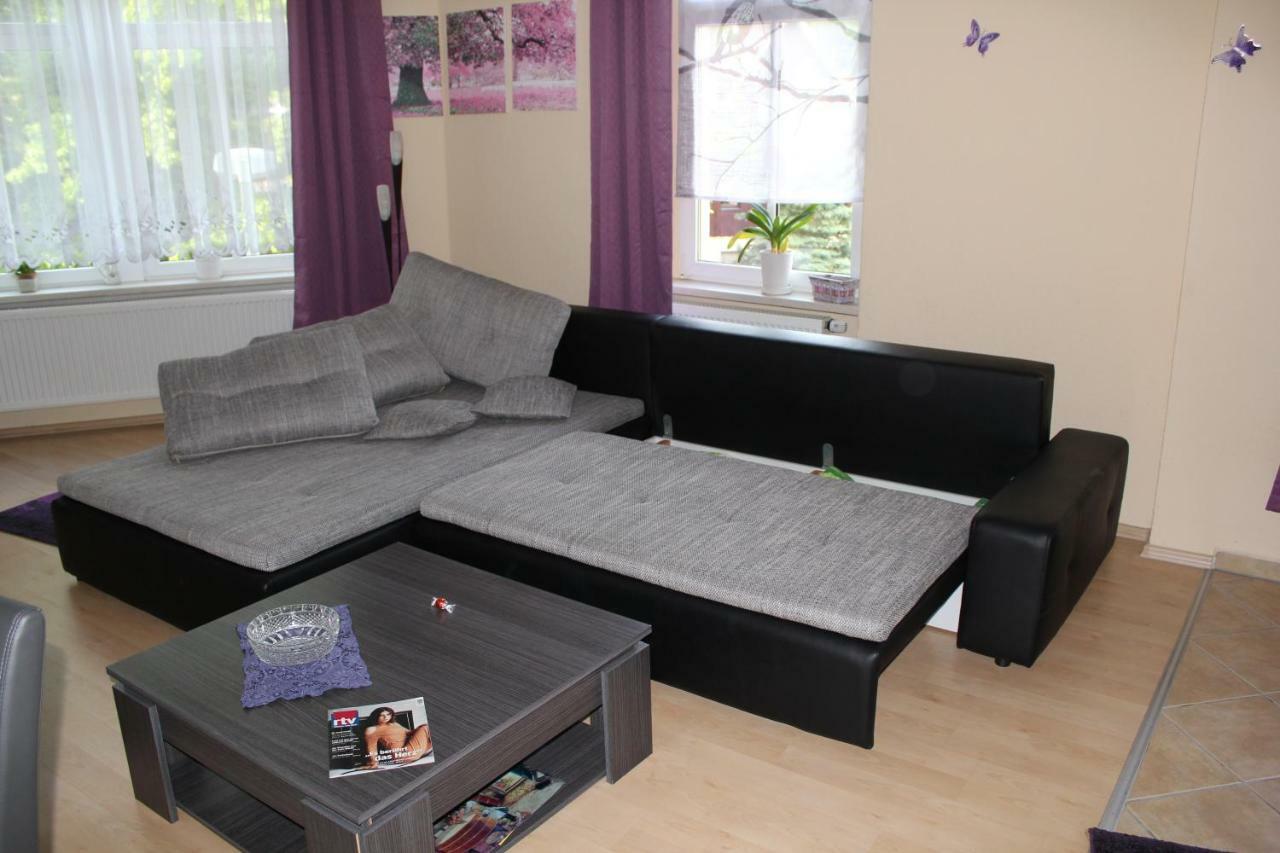 Ferienwohnung Am Schunckpark Dresden Exteriör bild